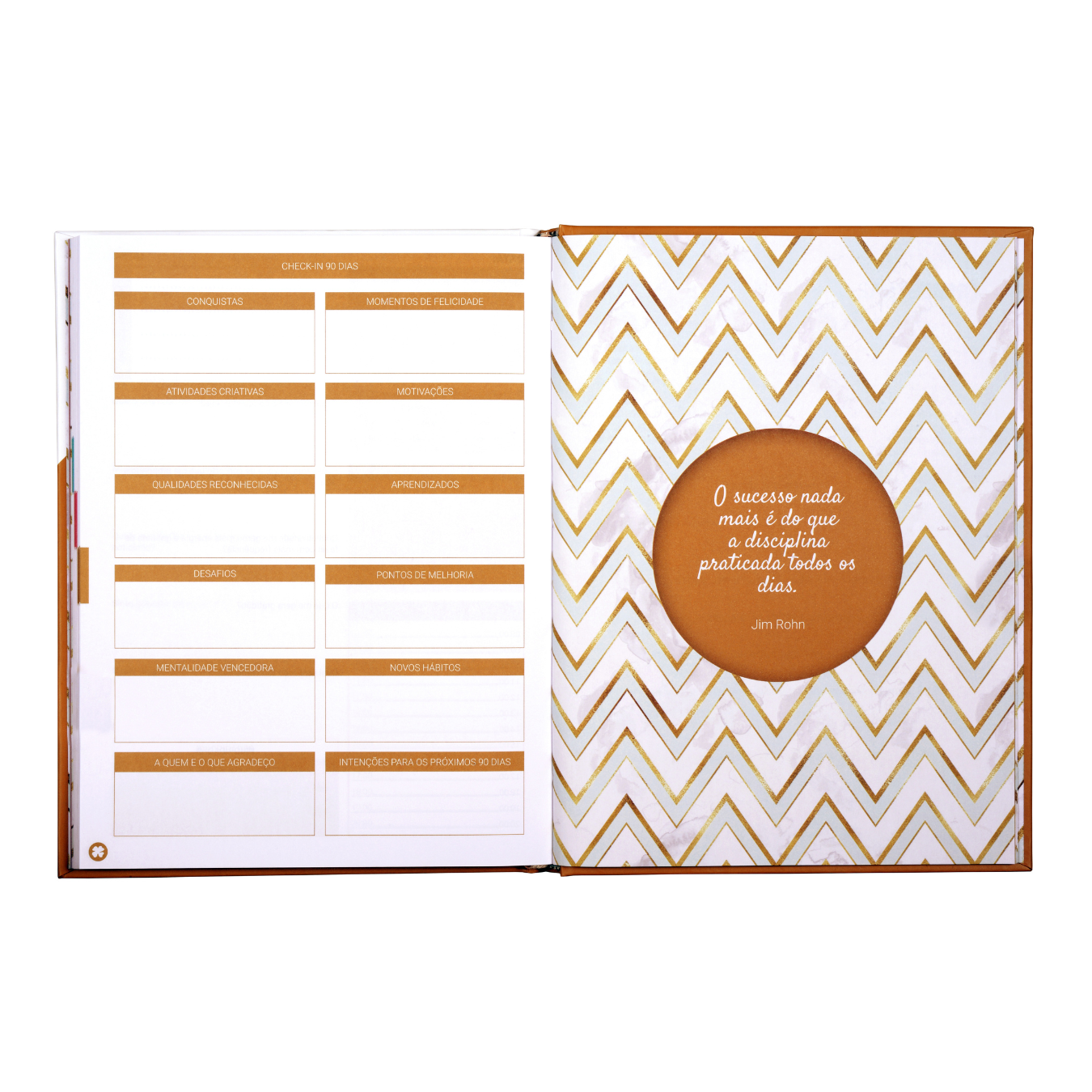 PLANNER DIÁRIO: GUIA PRÁTICO PARA CRIAR SEUS DIAS | 90 DIAS - GOLD