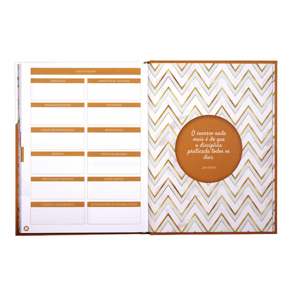 PLANNER DIÁRIO: GUIA PRÁTICO PARA CRIAR SEUS DIAS | 90 DIAS - GOLD