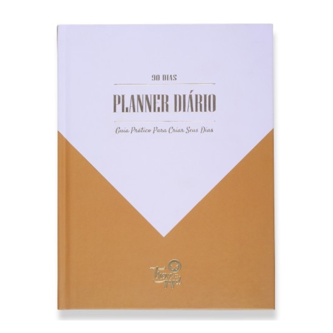 PLANNER DIÁRIO: GUIA PRÁTICO PARA CRIAR SEUS DIAS | 90 DIAS - GOLD