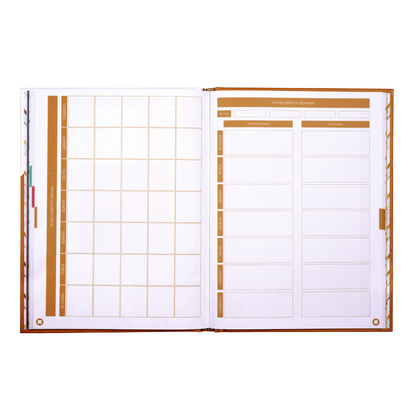 PLANNER DIÁRIO: GUIA PRÁTICO PARA CRIAR SEUS DIAS | 90 DIAS - GOLD