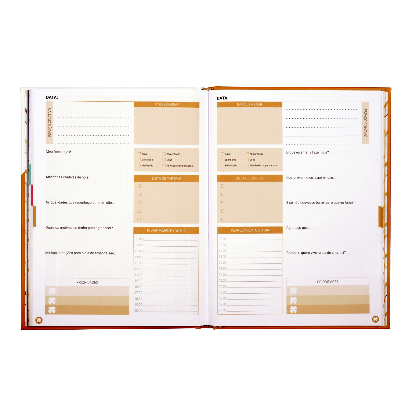 PLANNER DIÁRIO: GUIA PRÁTICO PARA CRIAR SEUS DIAS | 90 DIAS - GOLD