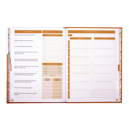 PLANNER DIÁRIO: GUIA PRÁTICO PARA CRIAR SEUS DIAS | 90 DIAS - GOLD